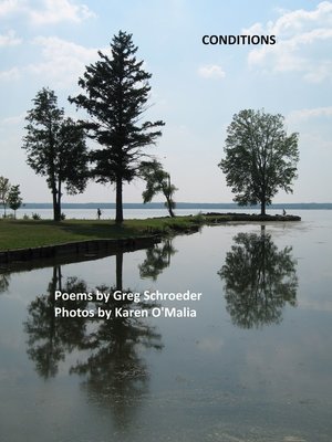 cover image of Conditions